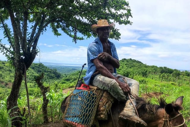 Learn Farming and Harvesting Stories in Villanueva Colombia - Photo 1 of 12