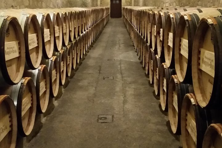 Bodegas Marqués de Riscal, Elciego (Álava-Araba)