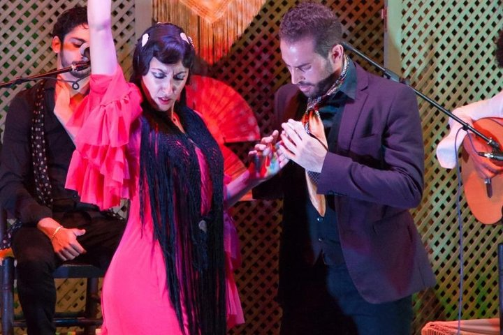 Malaga Flamenco Show - Photo 1 of 7