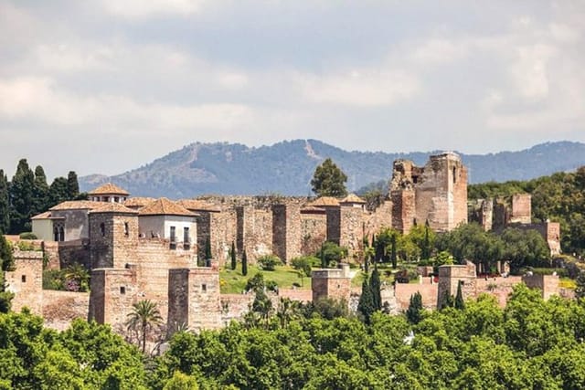 Malaga Private Tour with Alcazaba, Picasso Museum & Cathedral - Photo 1 of 8