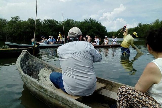 Mangroves and Fishing Show - Photo 1 of 5