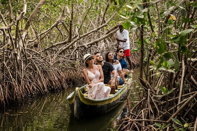 Mangroves tour for cruises. - Photo 1 of 6