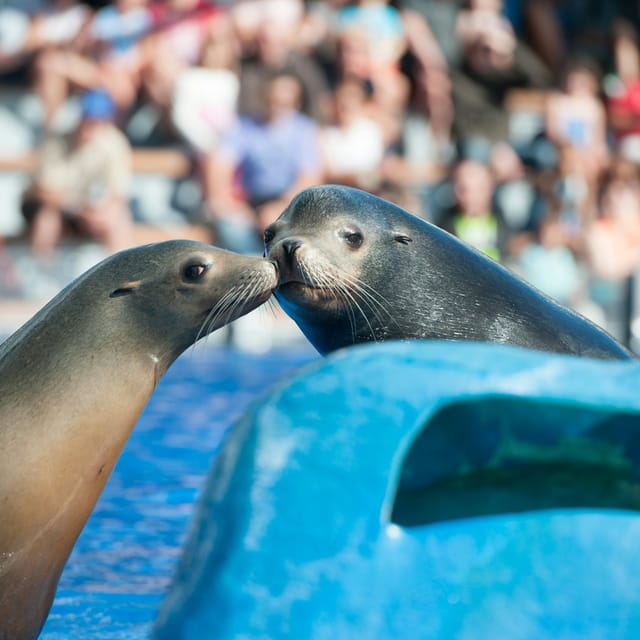 Marineland Mallorca - Photo 1 of 6