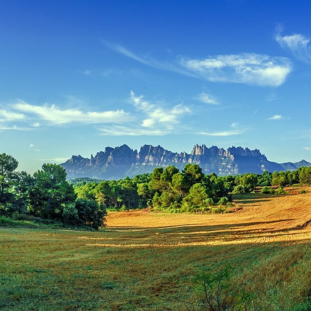 Montserrat: Small Group Tour from Barcelona and Hotel Pickup - Photo 1 of 3