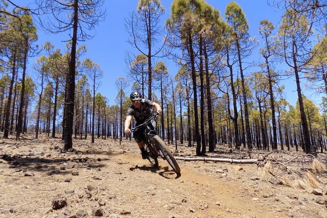 Mountain bike excursions - Photo 1 of 10