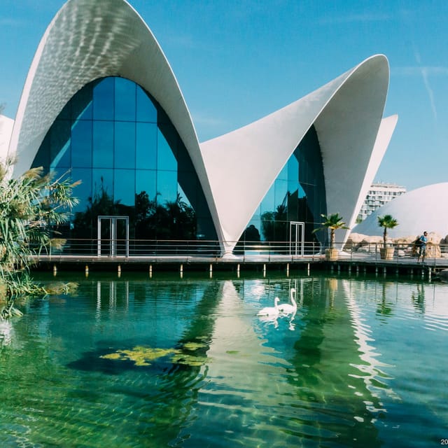 Oceanogràfic of Valencia - Photo 1 of 7