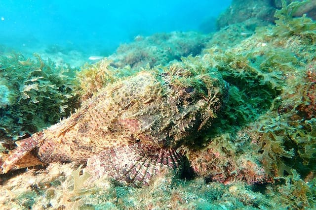 PADI Open Water Diving Course - Photo 1 of 12