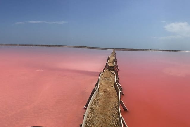 Pink Sea Galerazamba