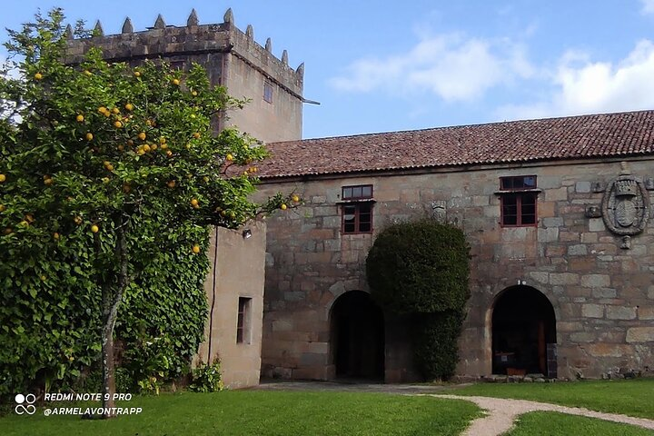 Private Albariño Wine Experience & Gourmet Gastronomy Michelin  - Photo 1 of 18