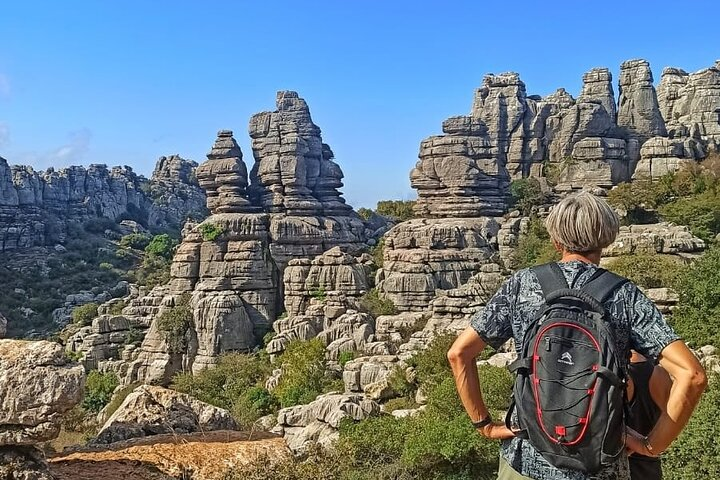 Private Guided Tour to Torcal de Antequera - Photo 1 of 8