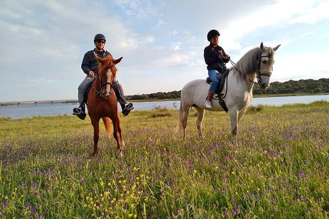 Private Horse Ride in Madrid natural park reserve - Photo 1 of 6