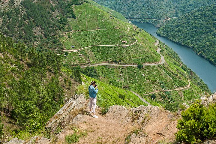 Stunning views of the vineyards