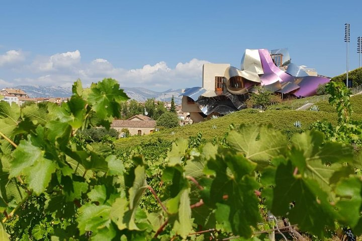 Rioja Wine Tour: 2 Wineries From Bilbao - Photo 1 of 12