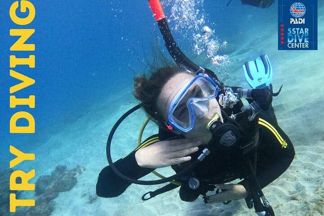 Scuba Dive for Beginners in a Turtle Area in Costa Adeje - Photo 1 of 12