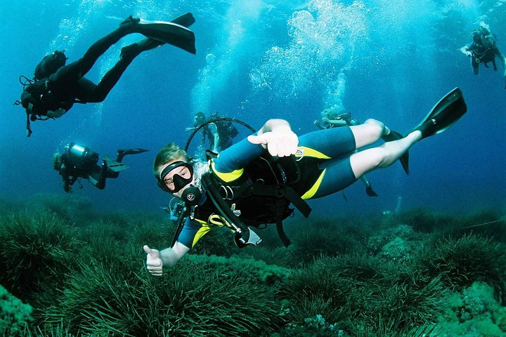 Scuba diving for beginners in ibiza