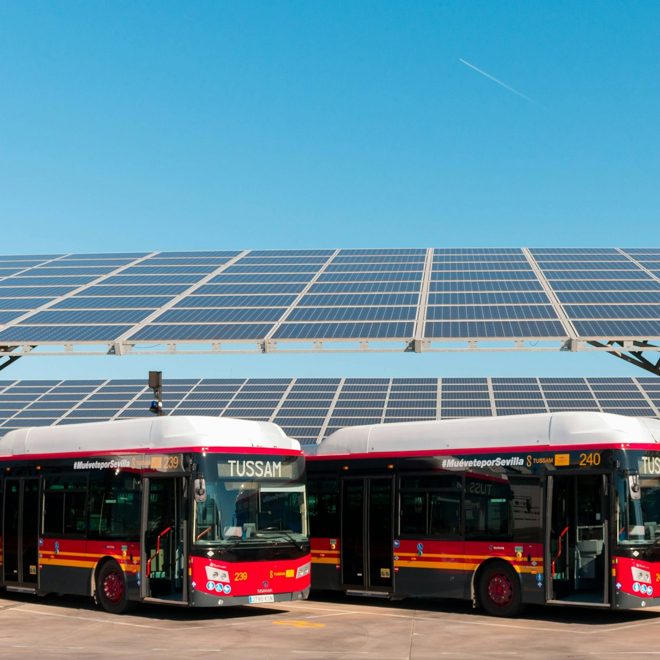 Seville: Airport & City Bus Transfer Service - Photo 1 of 9