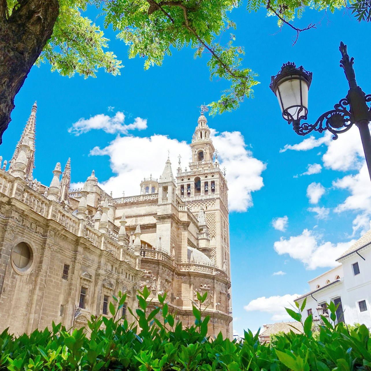 Seville Cathedral, Giralda Tower, Collegial Church of El Divino Salvador: Skip The Line Tickets - Photo 1 of 8