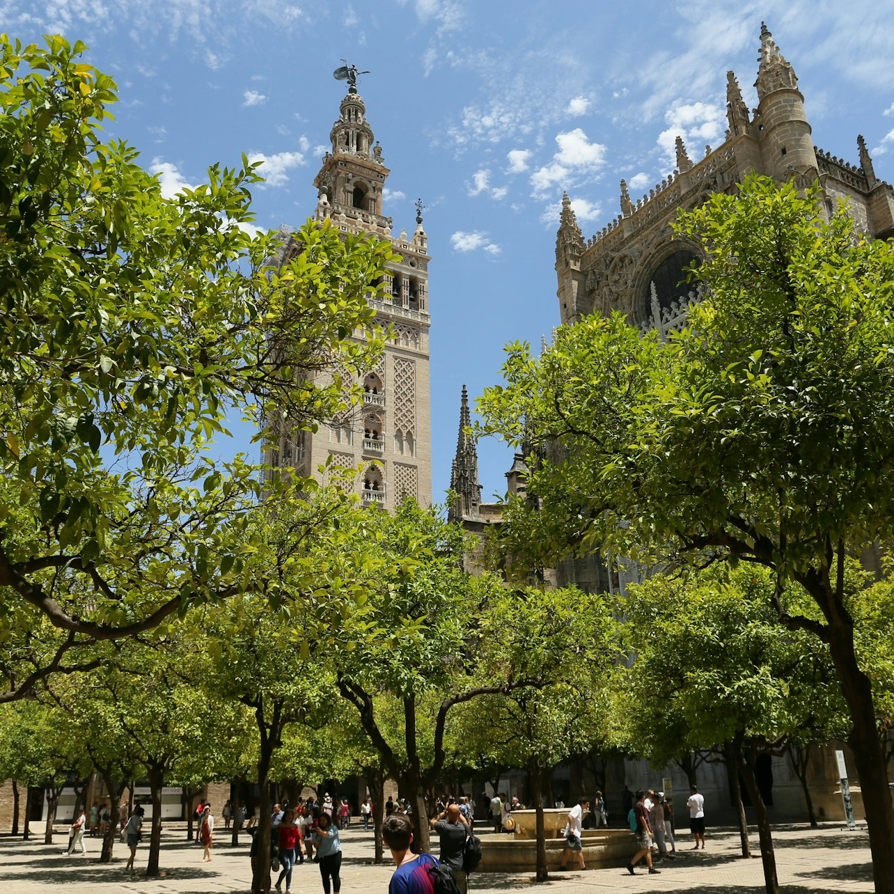 Seville Cathedral: Entry Ticket + Guided Tour - Photo 1 of 5