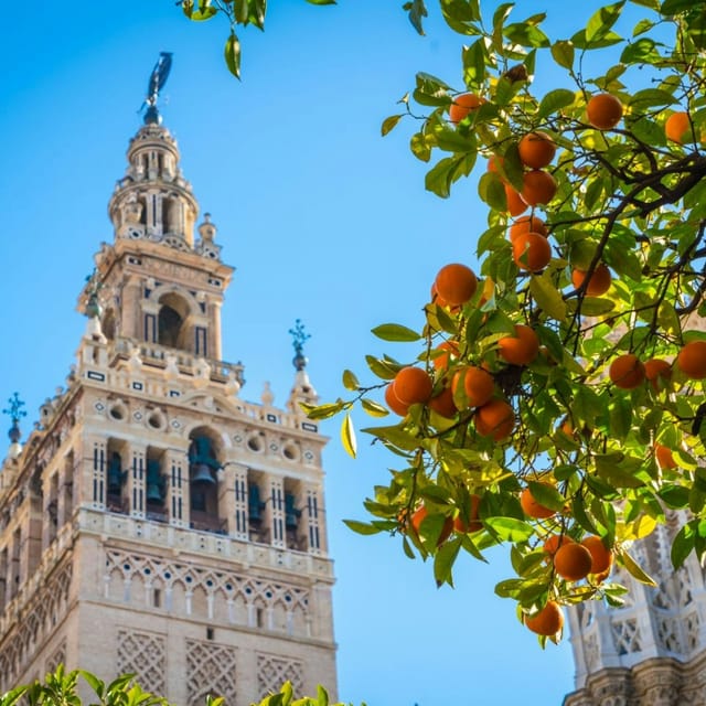 cathedral-giralda-alcazar-seville-entry-ticket-and-guided-tour_1