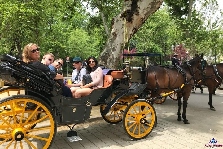 Seville Guided Horse Carriage Private Tour - Photo 1 of 10