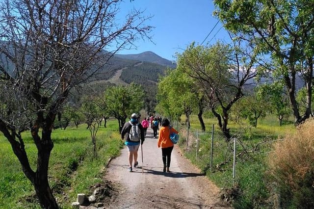 Sierra de Aracena: Grotto of Wonders, hiking and ecological picnic. - Photo 1 of 6