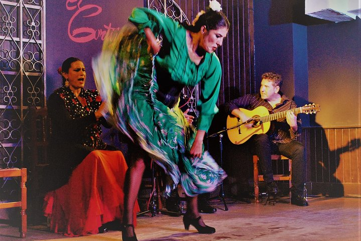 Skip the Line: Flamenco Show with Dinner and Workshop in Madrid Ticket - Photo 1 of 9