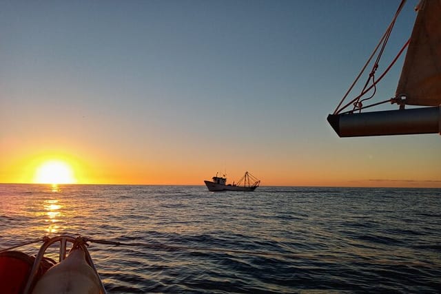 Small Group - Sailing trip - Costa del Sol - Max. 5 people - Photo 1 of 23