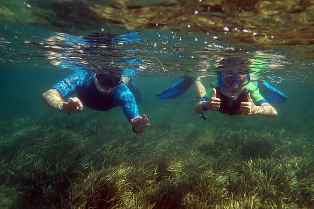 Snorkeling excursion to Tabarca Island