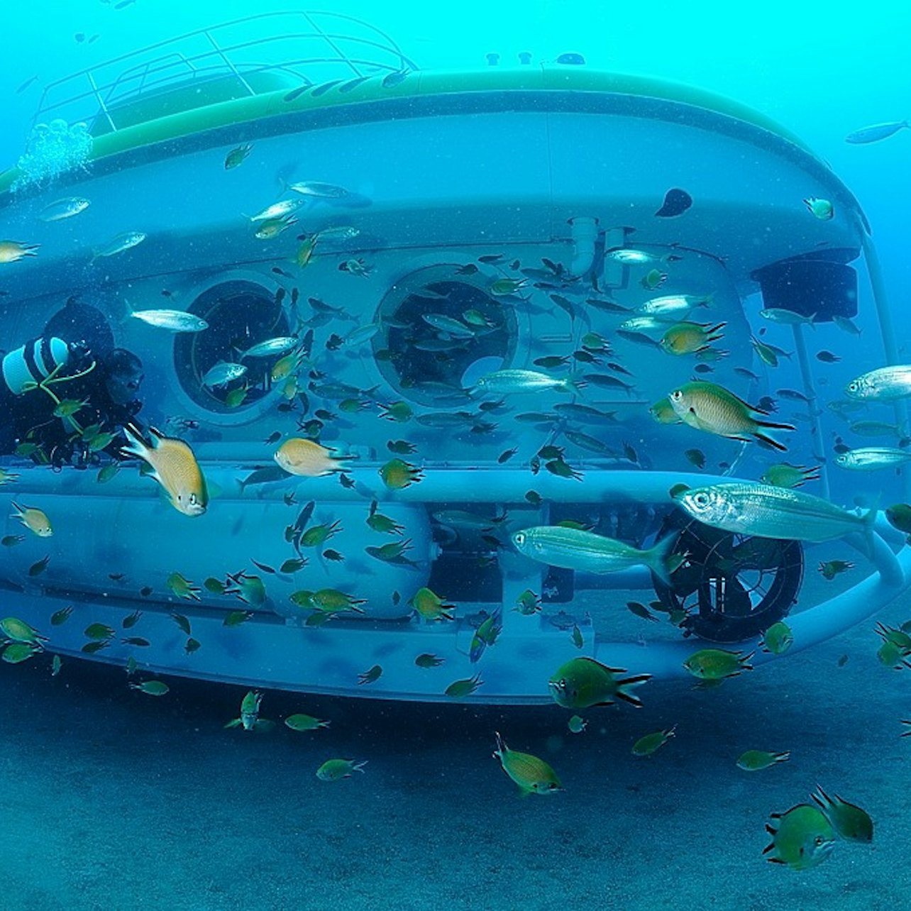 Submarine: Dive into the Atlantic Ocean - Photo 1 of 6