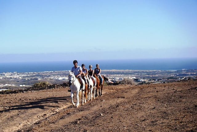 The Best Horse Riding Experience in Gran Canaria (2 hours) - Photo 1 of 7