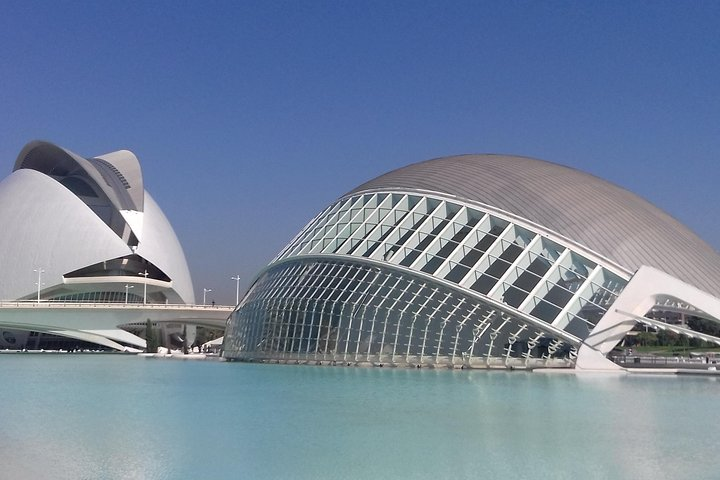 The City of Arts and Sciences in Valencia by architect Santiago Calatrava