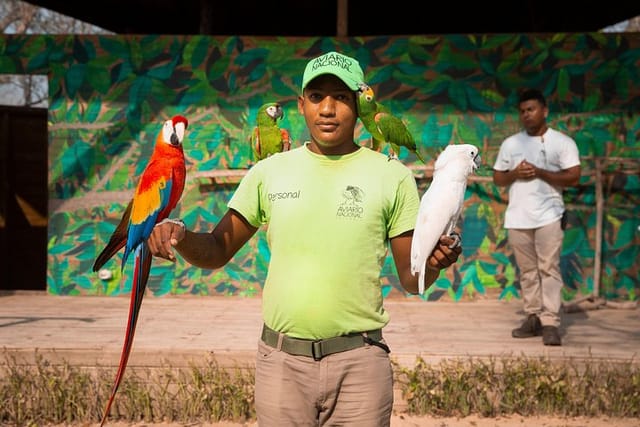 Tour al Aviario Nacional - Photo 1 of 11