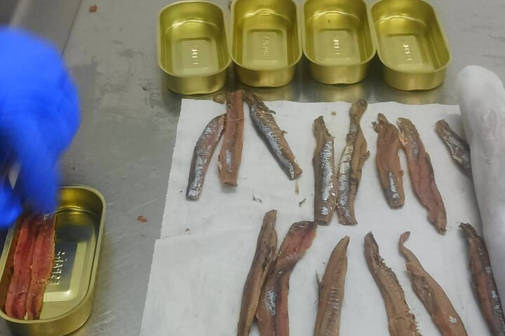 During the visit we will see the process of making the anchovy fillet from its arrival at the factory to its release for sale.