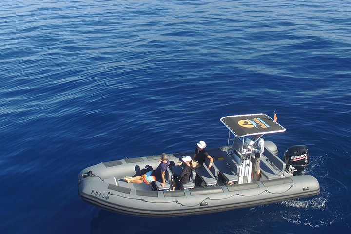 Our 8 meter custom built whale watching boat.