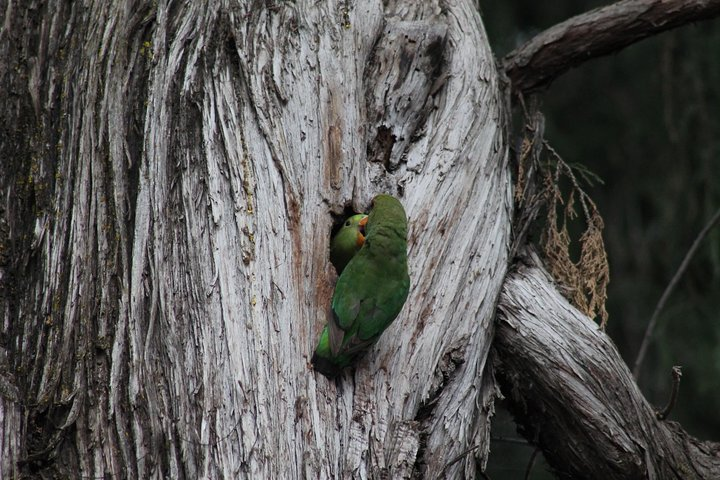  Day Hike Around Lalibela - Photo 1 of 8