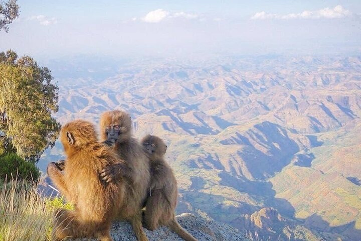 10 Days Simien Mountains Trekking, Adi Arkay via Ras Dashen  - Photo 1 of 8