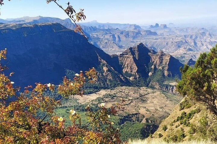 6 Days Trekking Simien Mountains Ras Dashen - Photo 1 of 5