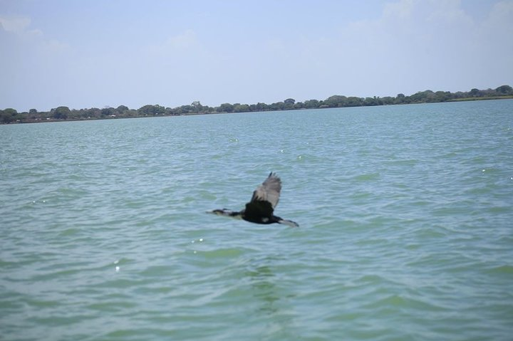 Lake Tana