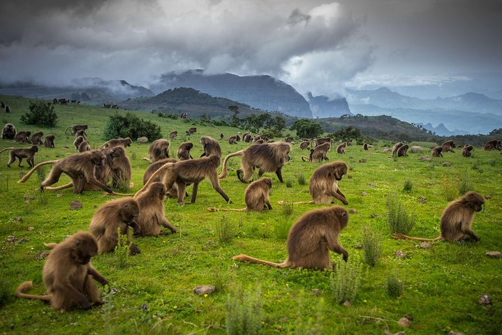 Day trek to Simien Mountain  - Photo 1 of 5