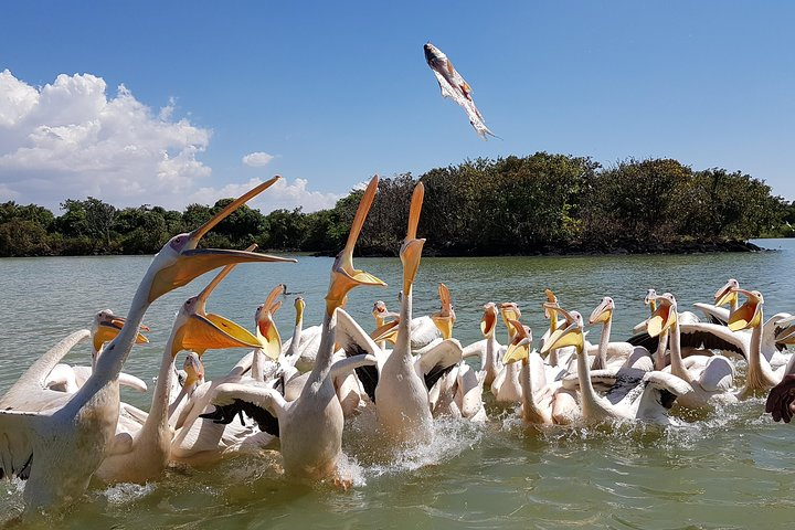 Day trip on Bahir dar. To visit lake tana monasteries and Blue Nile Falls. - Photo 1 of 6