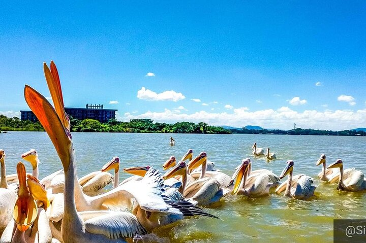 Full day Trip on Lake Tana - Photo 1 of 2