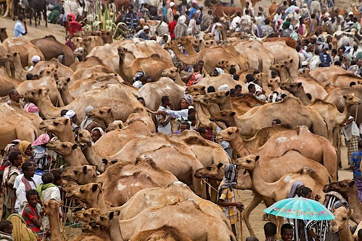 bati market