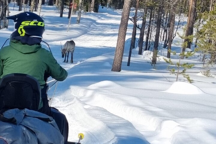 3 days Snowmobile Raid in Finnish Lapland - Photo 1 of 6