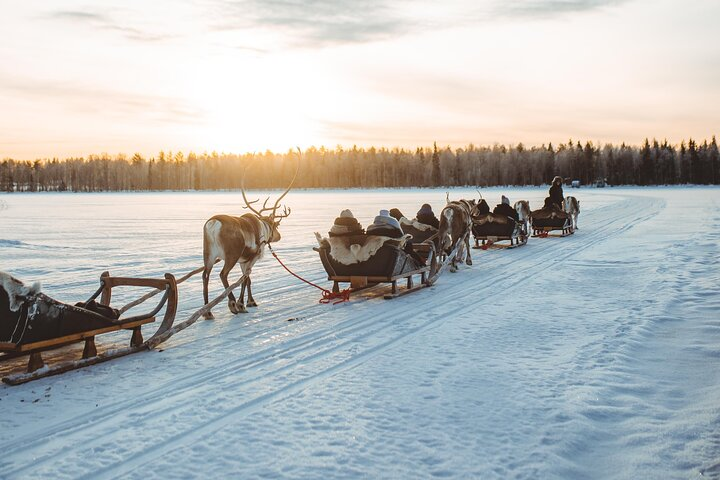 Apukka Reindeer Journey - Photo 1 of 9