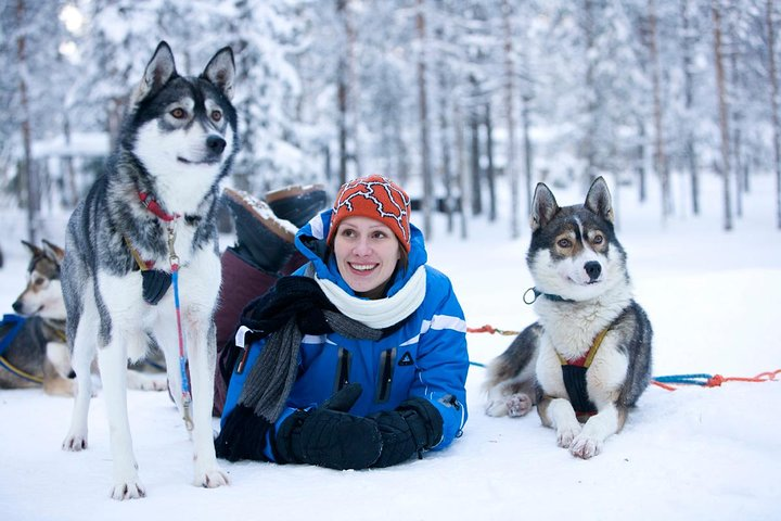 Husky Farm