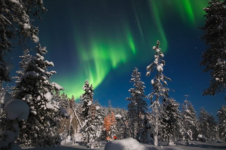 Aurora Borealis Picnic in Rovaniemi - Photo 1 of 8