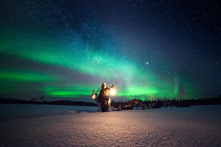 Reindeer Sledge