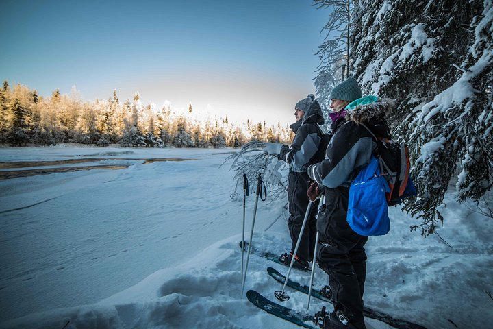 Skiing in the wilderness