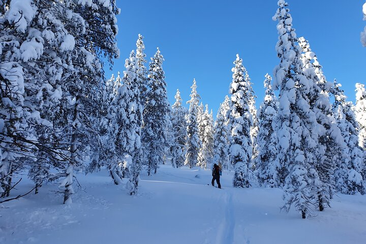 Day Time Guided Ski Adventure Near Lake Norvajärvi - Photo 1 of 5