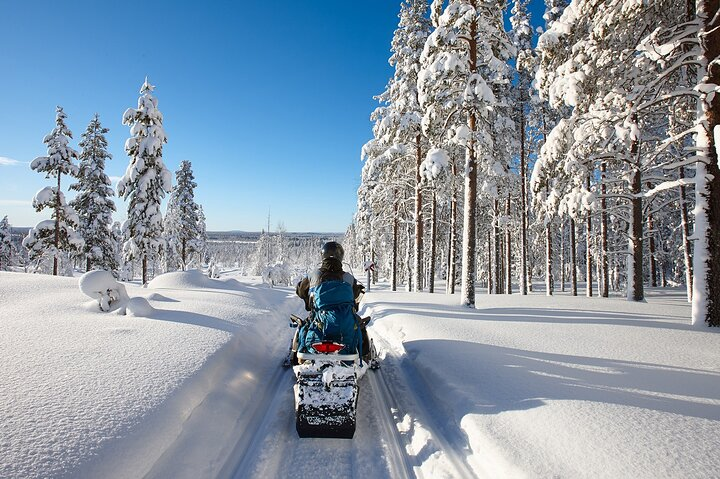 Easy Snowmobile Safari - Photo 1 of 4